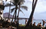Hawaii 176 by Jack P. Lewis