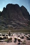 Mount Sinai 037 by Jack P. Lewis