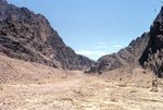 Mount Sinai 040 by Jack P. Lewis