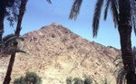 Mount Sinai 046 by Jack P. Lewis