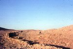Mount Sinai 107 by Jack P. Lewis