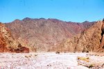Mount Sinai 140 by Jack P. Lewis