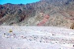 Mount Sinai 144 by Jack P. Lewis