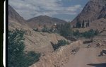 Mount Sinai 157 by Jack P. Lewis
