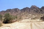 Mount Sinai 284 by Jack P. Lewis