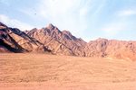 Mount Sinai 288 by Jack P. Lewis