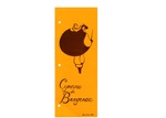 Cyrano de Bergerac (program)