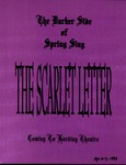 The Scarlet Letter (1996 posters)